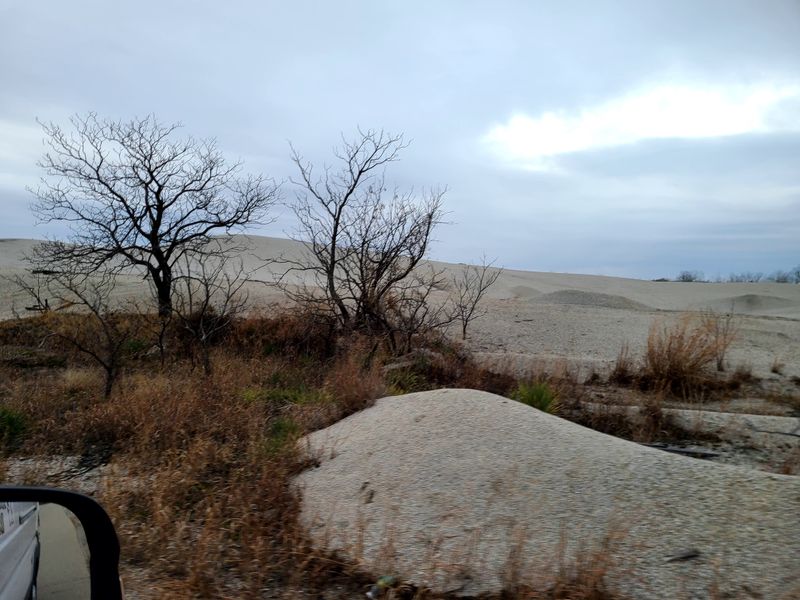 Environmental Disaster