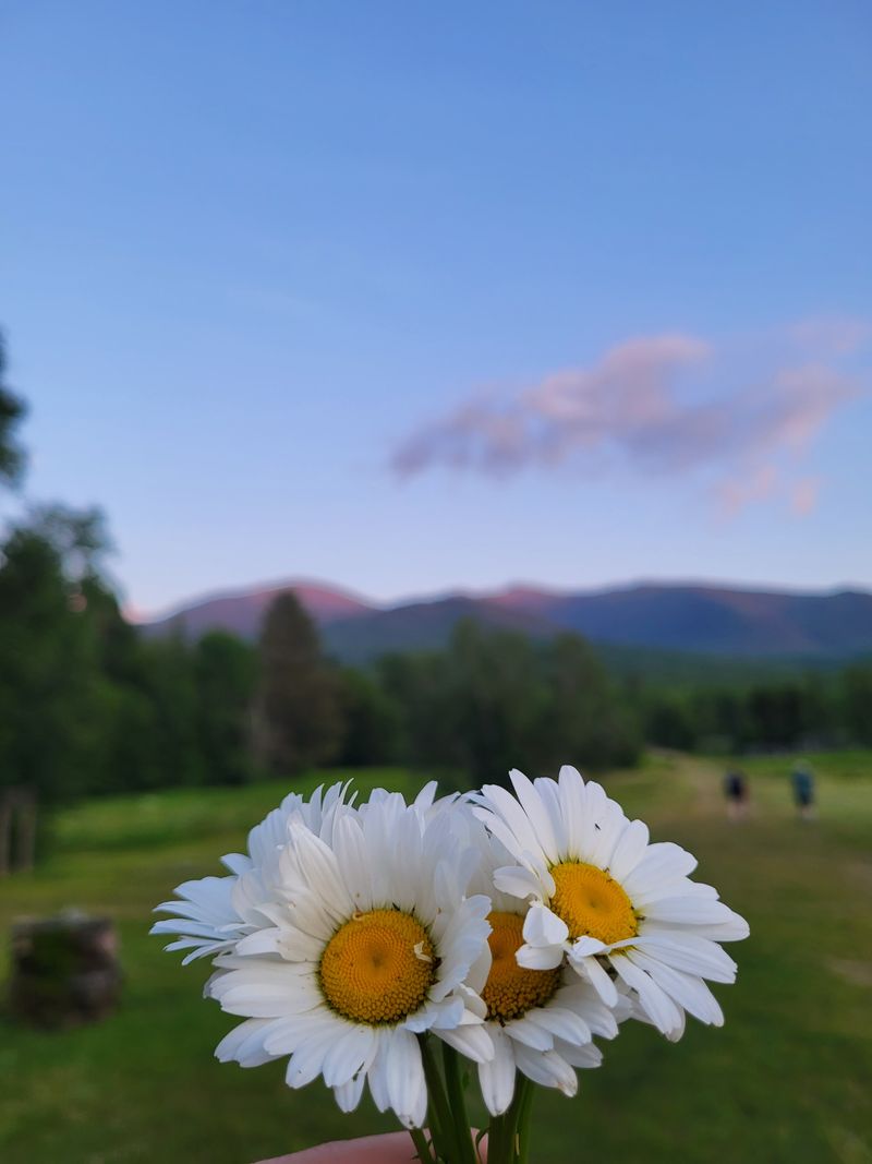 Gateway to the Northern Presidentials