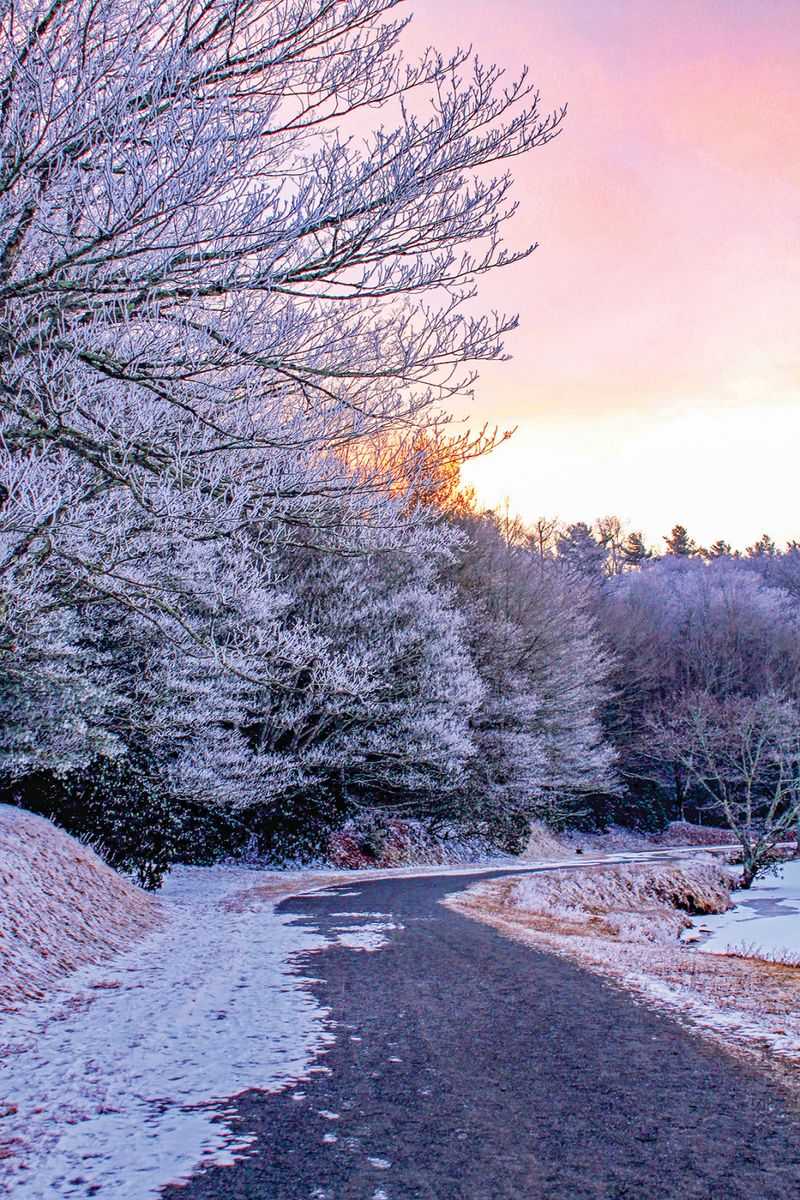 Annie Cannon Gardens Trailhead