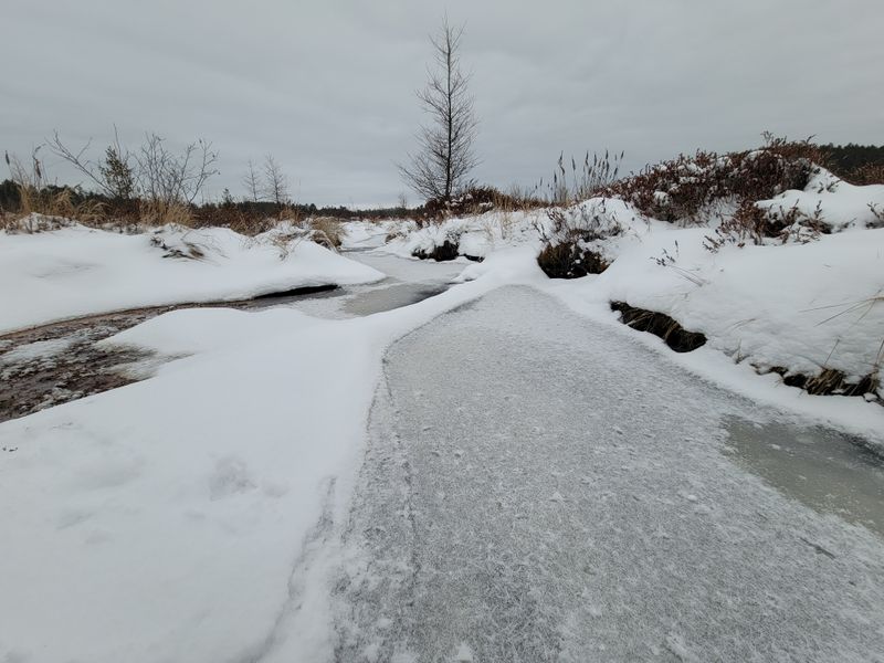Fat Biking Through Snow-Packed Trails