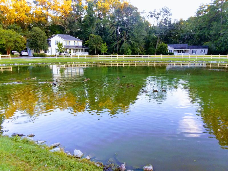Lowcountry History Without the Crowds