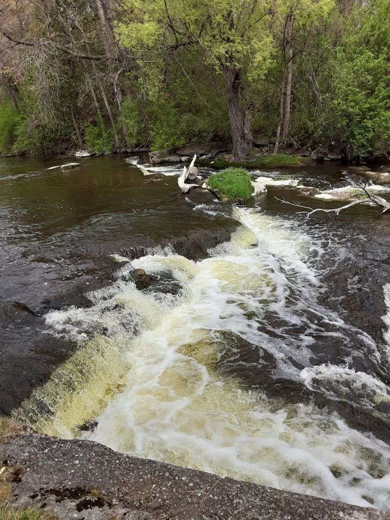 Cedar Creek Walkway Vibes