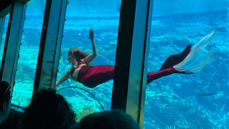 Weeki Wachee Springs Mermaid Shows