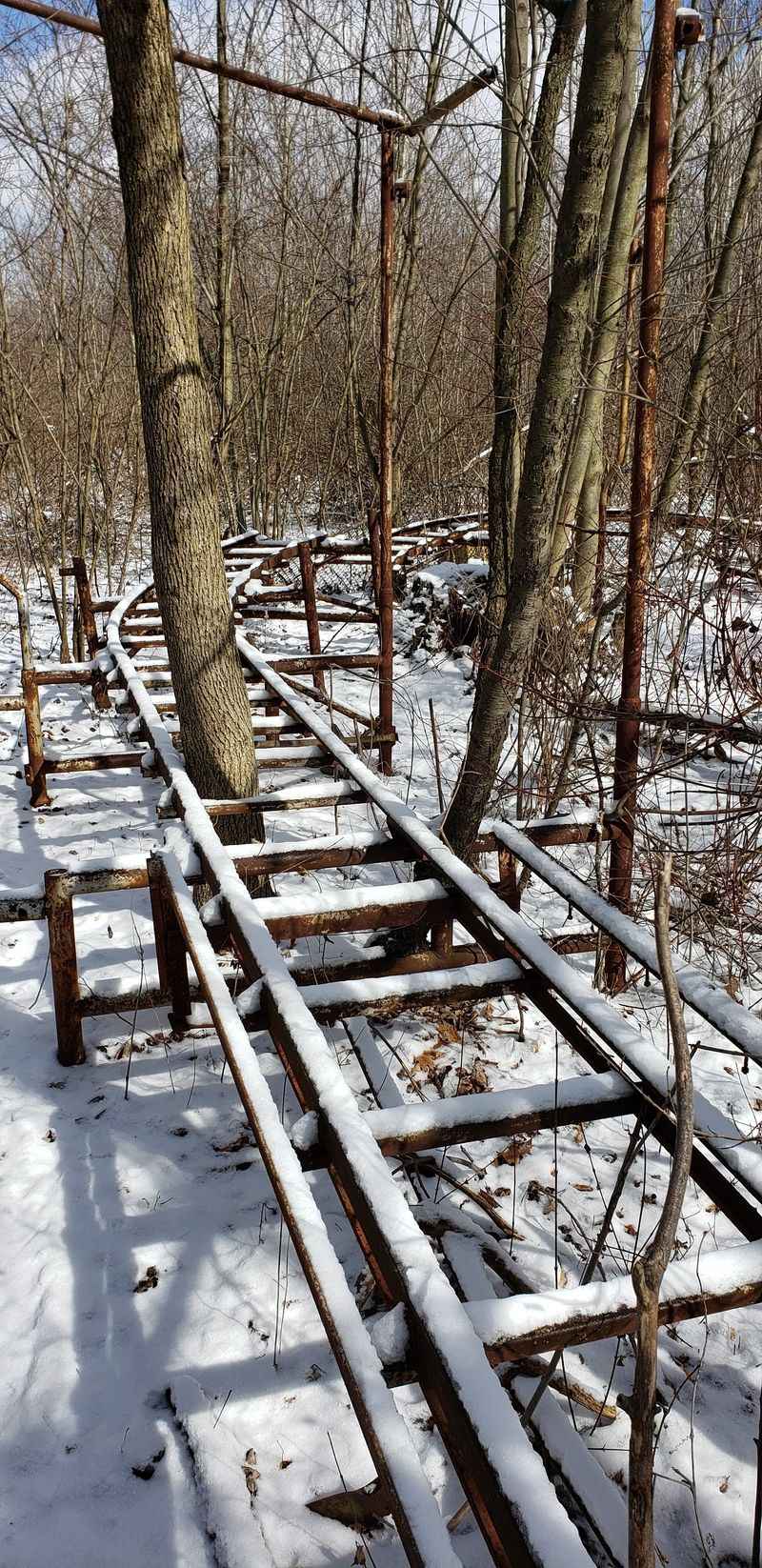 Rides you can picture without seeing