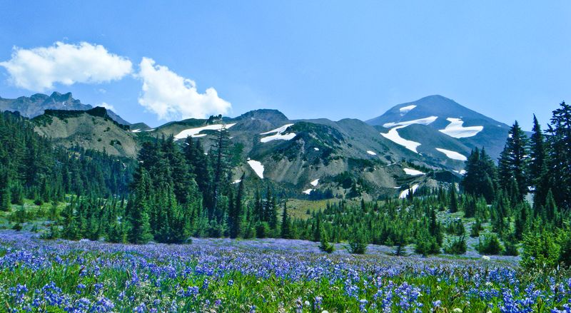 A Strong Connection To Nature In Sisters