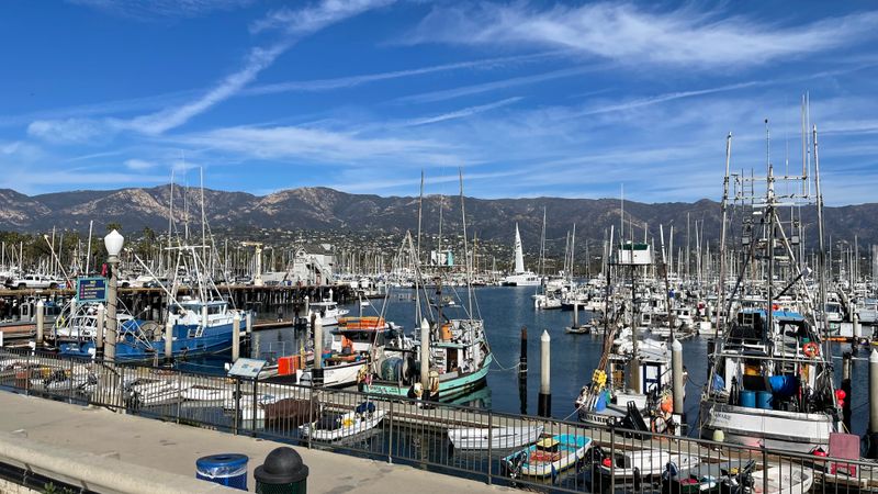 Watch the Parade of Lights at the Harbor