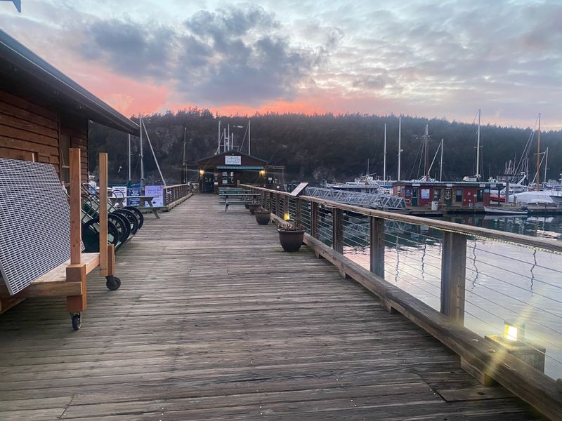 The Ferry Flip Switch