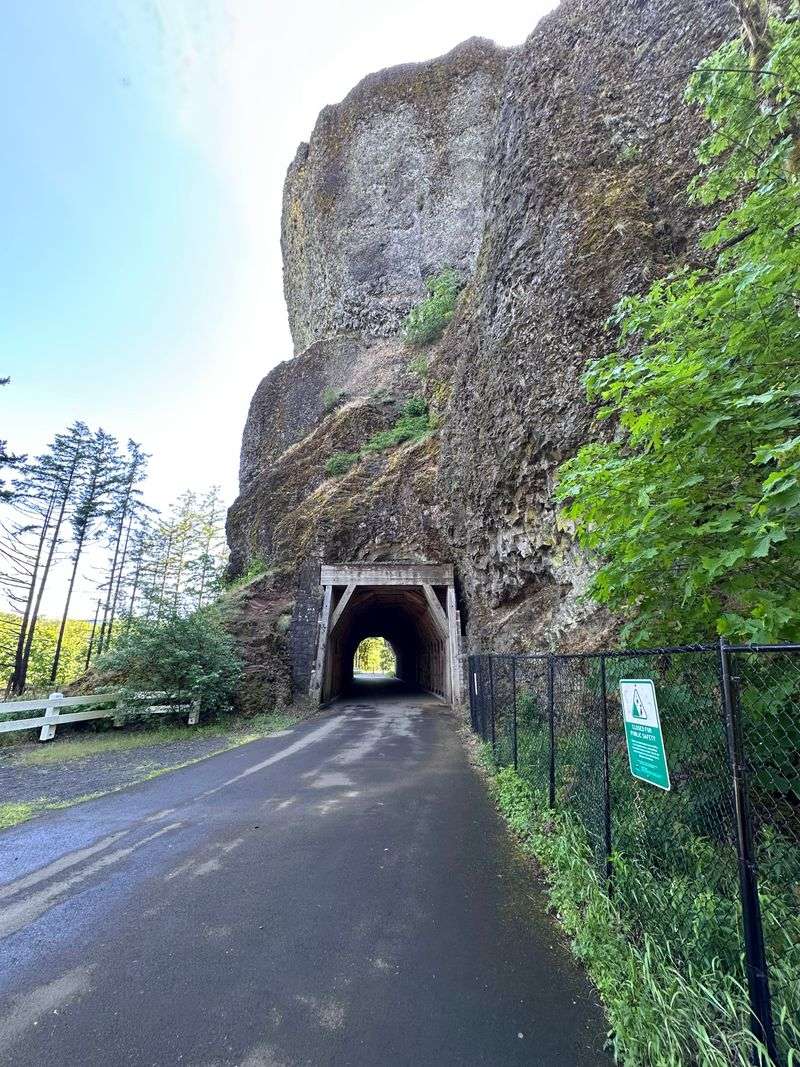 Phantom Footsteps Echo Through the Darkness