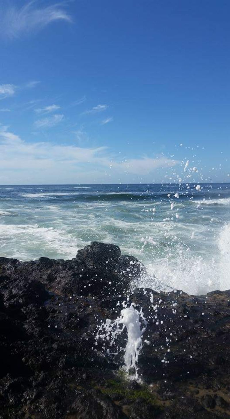 Rugged Basalt Coastline