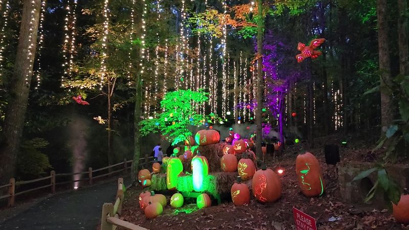 Callaway Resort and Gardens Winter Lights