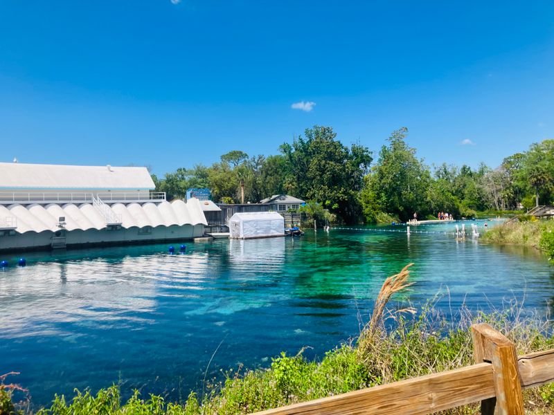 Weeki Wachee Springs