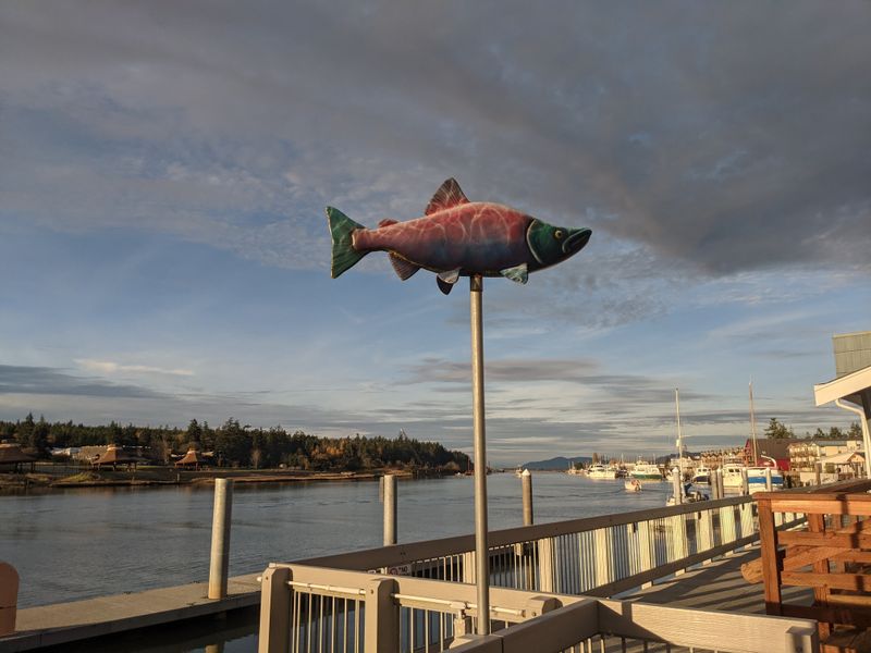 The Quiet Season Before the Tulip Rush