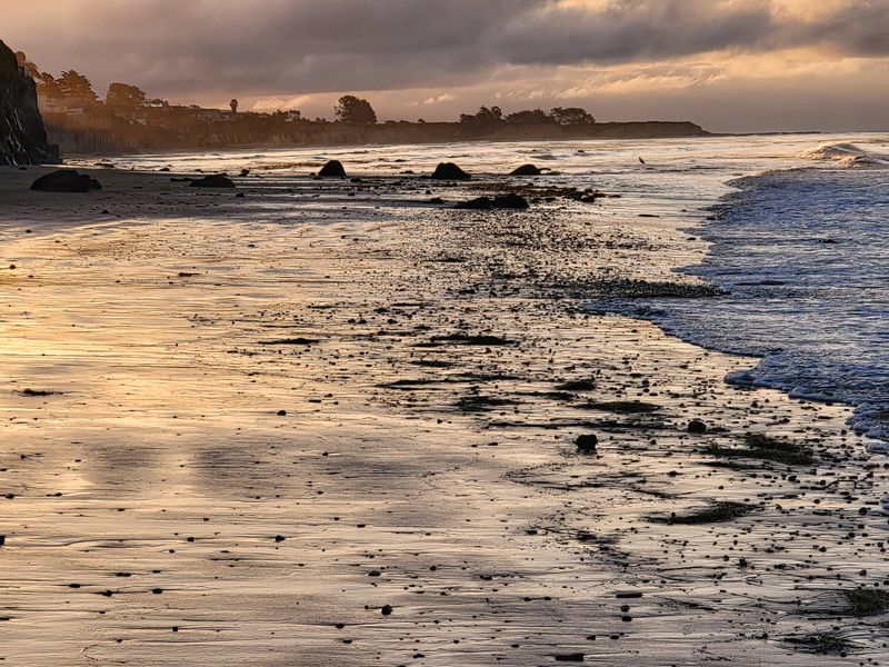 Fog Has A Sound And A Color