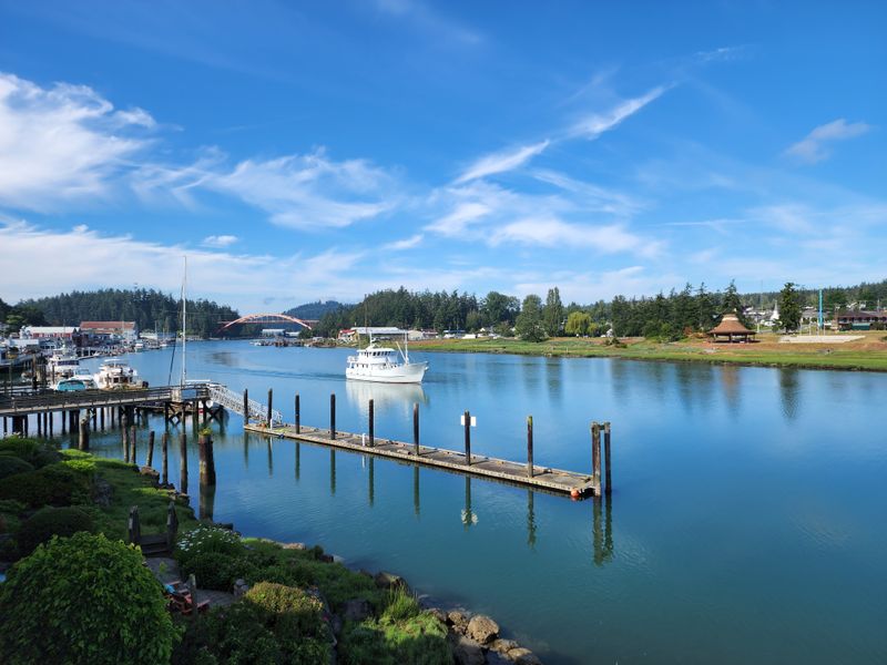 Tidal Rhythms and Channel Life