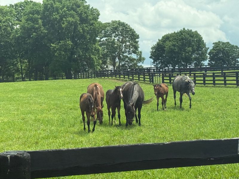 When Selfies Turn Into Real Stories