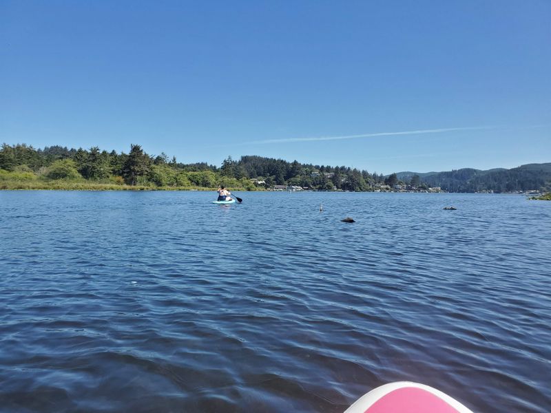 Crystal Clear Waters Perfect for Swimming