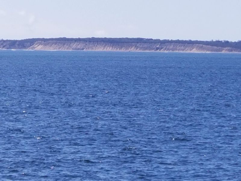 Noise Pollution Shattered Coastal Tranquility