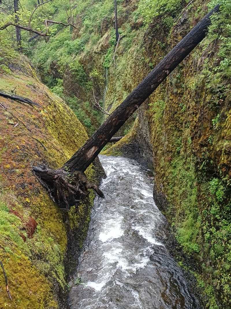 A Natural Wonder Unlike Anywhere Else in Oregon