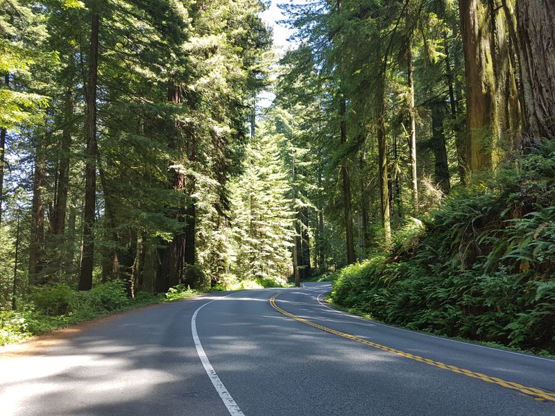 Nearby Pull-Offs and Scenic Spots That Extend the Experience