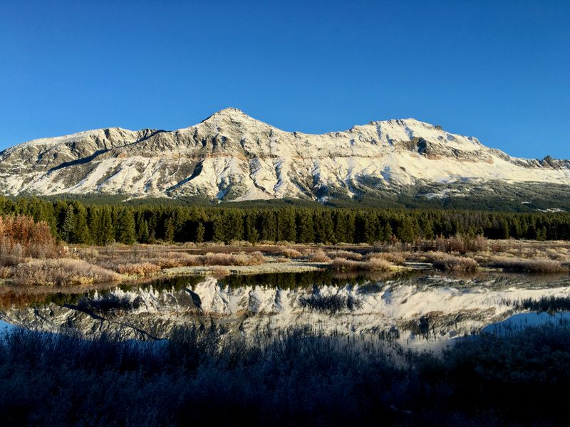 A Memory That Sticks