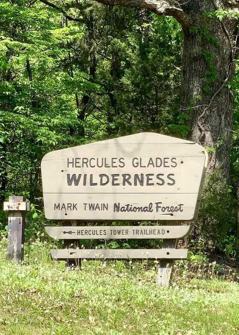 Wildlife and Plant Life That Thrive Without Interference