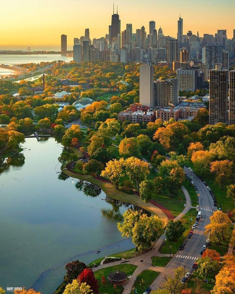 Lincoln Park ZooLights, 2001 N Clark St