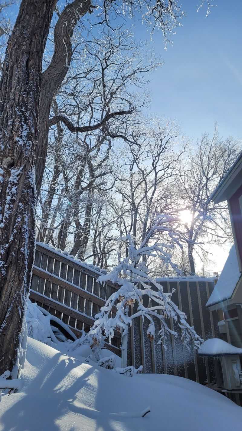 Understanding the Storm System Approaching Northern Minnesota