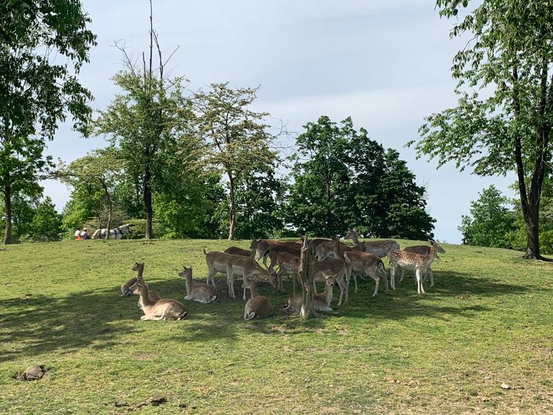 Crossing Private Lanes for the Perfect Barn Shot