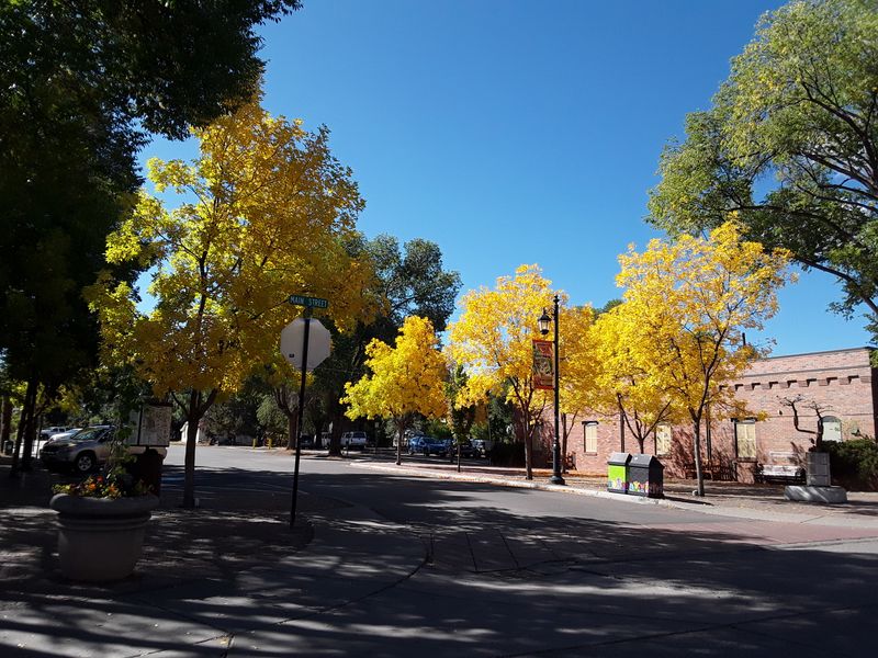 Carbondale - High Country Studios With a Community Beat