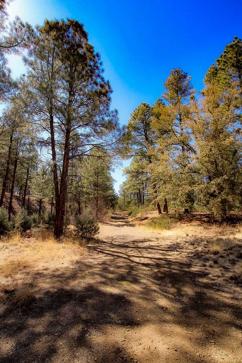 Prescott: The History and Nature Lover