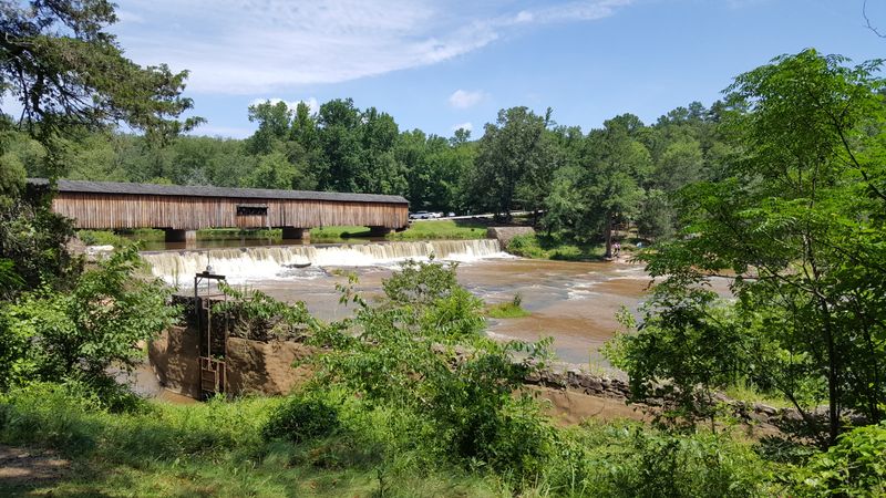 A Georgia Bridge Where Nature Creates Its Own Mystery