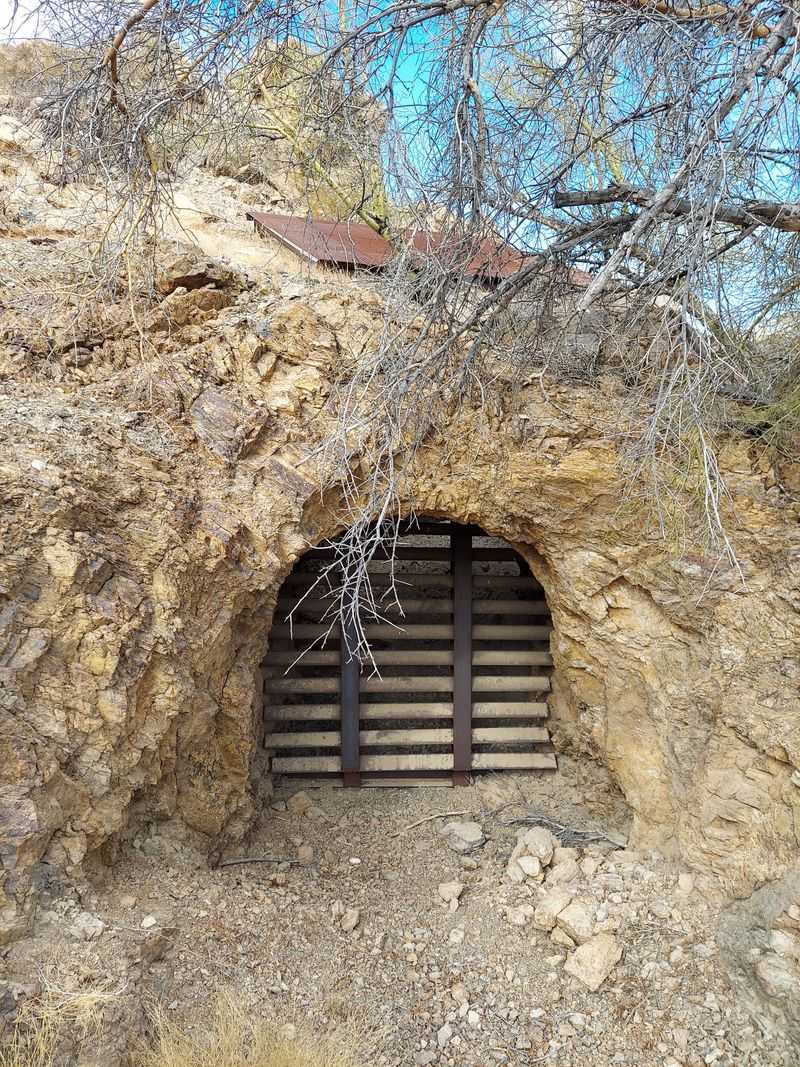 Swansea Remote Desert Ruins