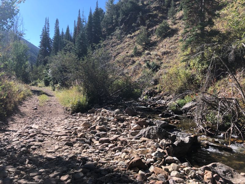 Trailhead To The Wild