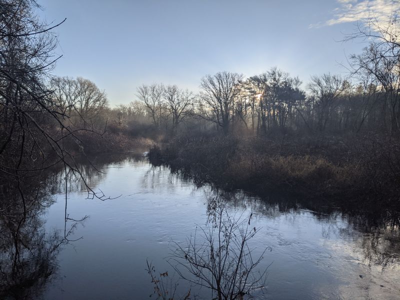 The Hockomock Swamp Borderlands