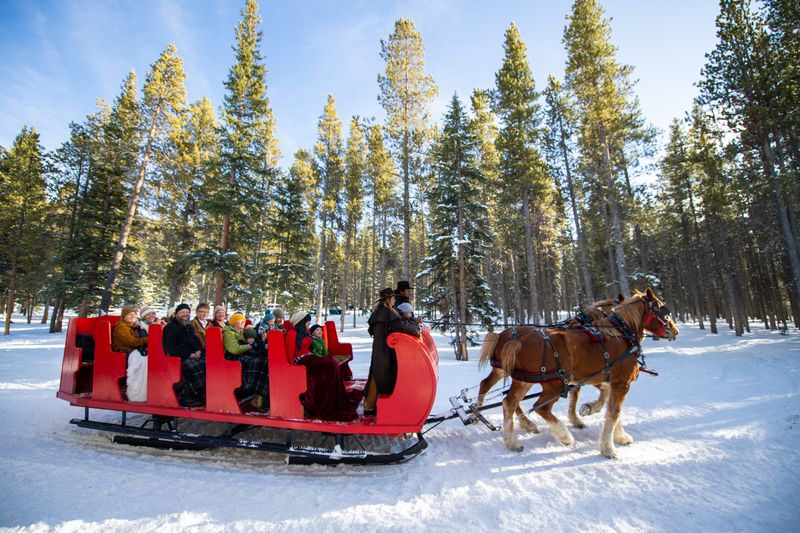 Scenic Horse Drawn Sleigh Rides