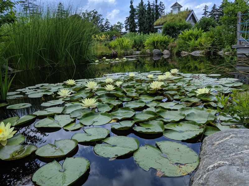 Breathtaking Natural Beauty Around Every Corner