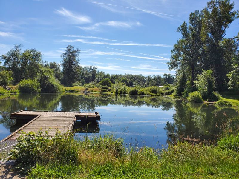 A More Sustainable Lifestyle In Cottage Grove