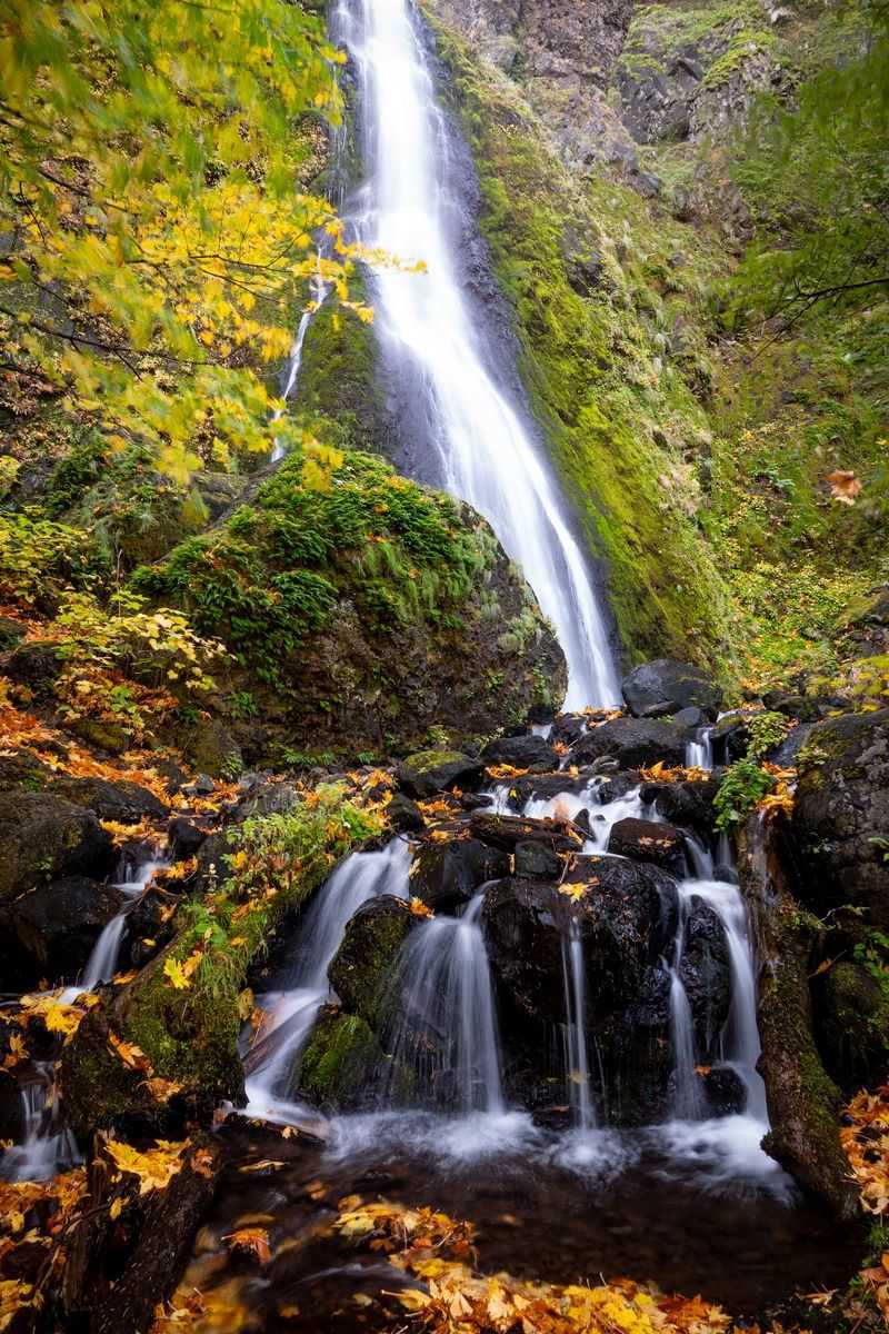 Starvation Creek Falls