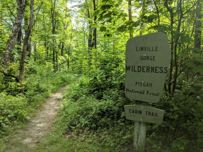 Practice Leave No Trace In Winter Too