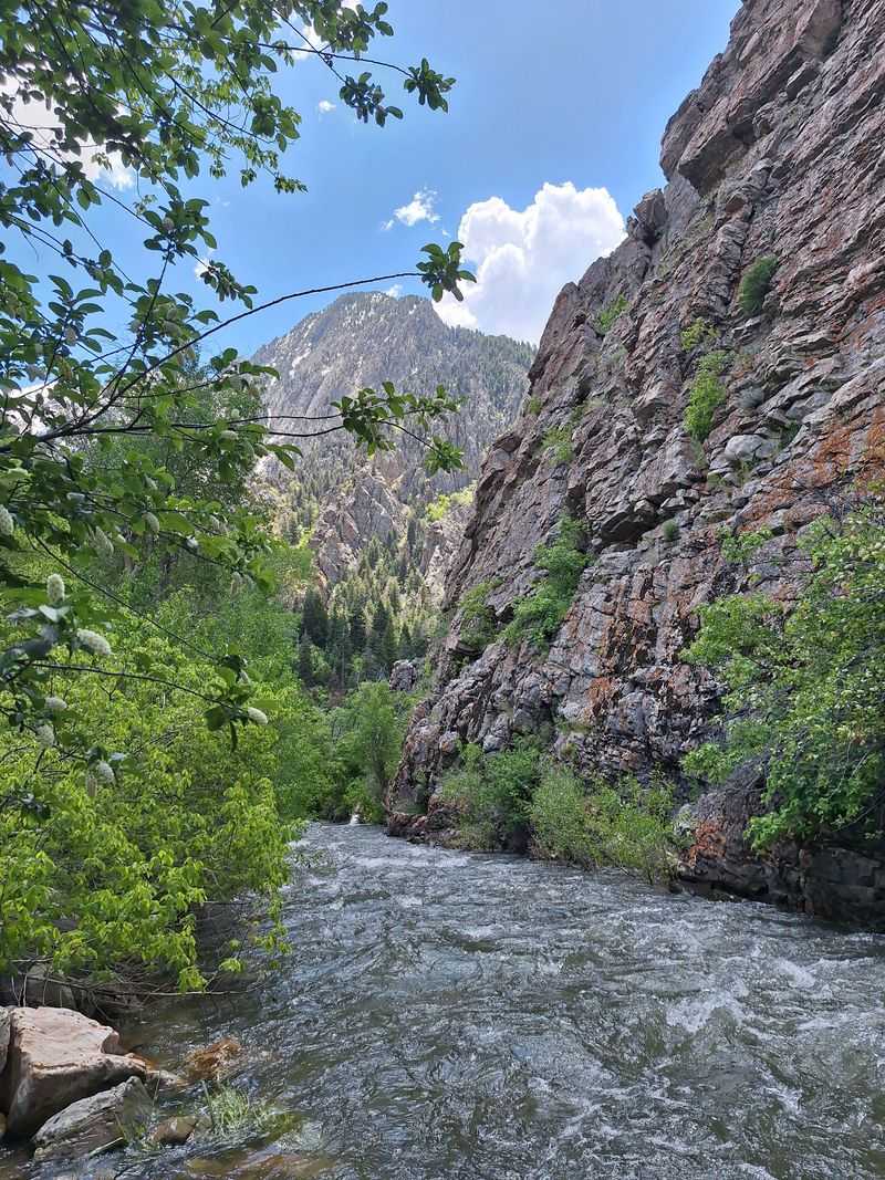 Scenic Overlook Where Phones Go Away