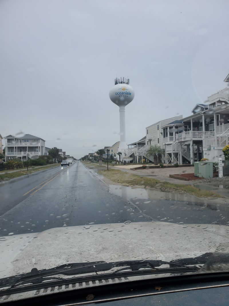 Brunswick County Pines That Line Old Coastal Highways
