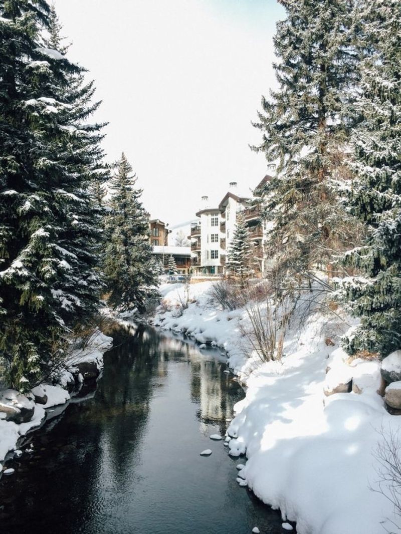 Betty Ford Alpine Gardens Winter Stroll