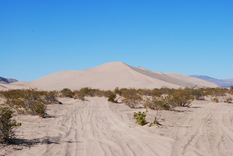 Amargosa Desert
