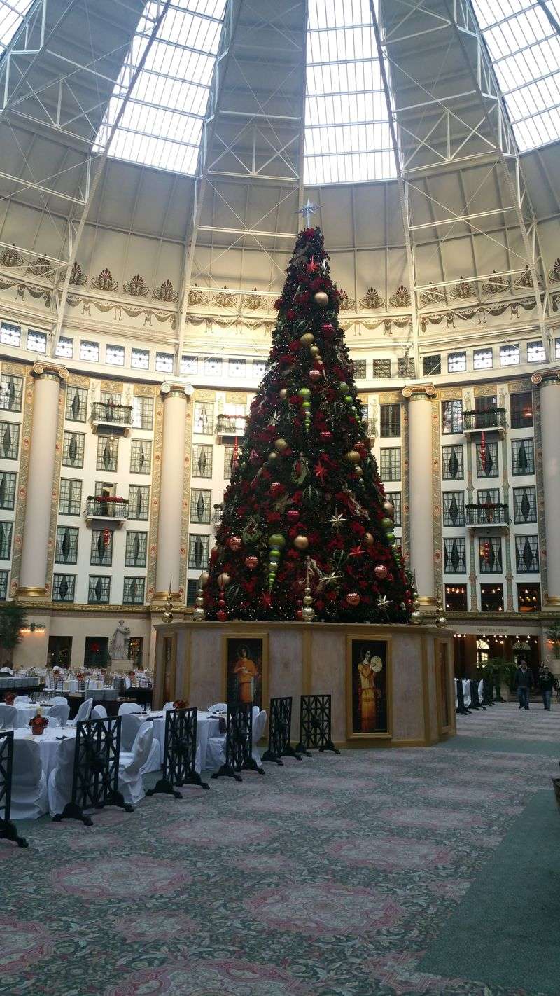 Gingerbread finale, statewide road trip