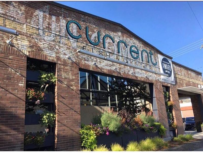 Current Fish and Oyster