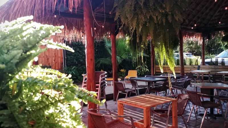 The Toasted Coconut - 1617 Richmond Ave, Houston, TX 77006