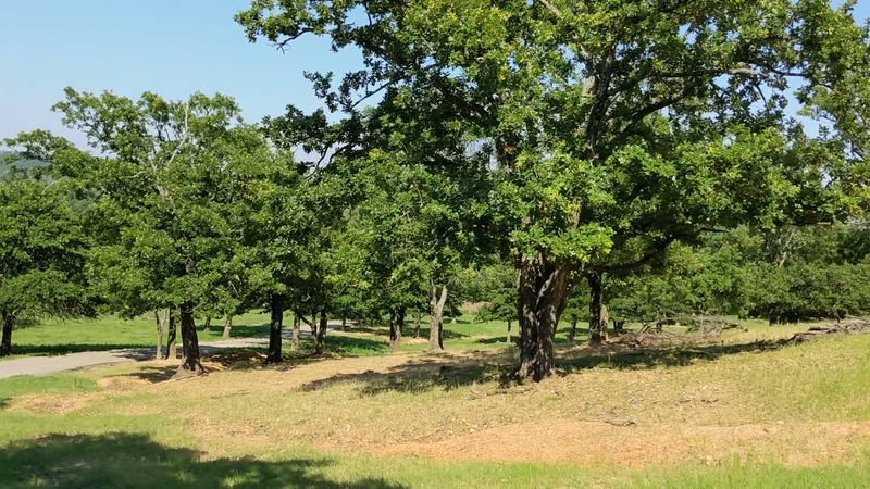 Arbuckle Mountains backdrop, views without the climb