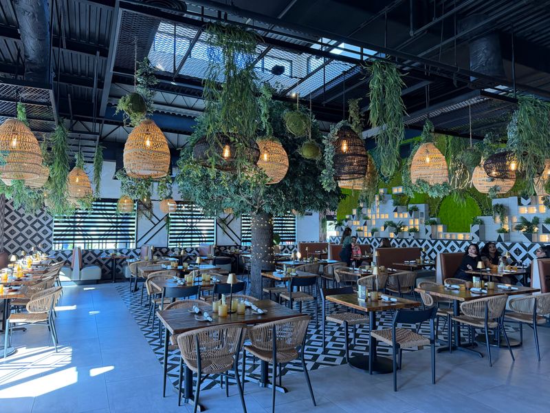 Vida Cocina & Tequila