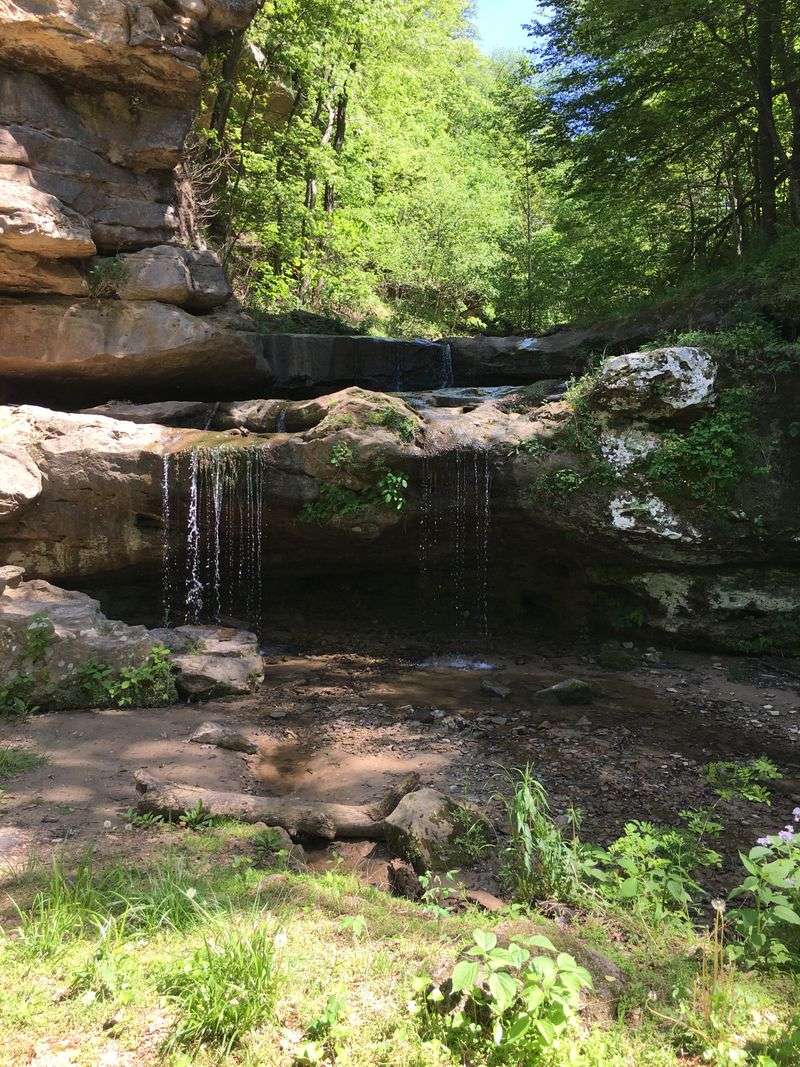 Fountain Bluff, Sandstone Cliffs and Ancient Carvings