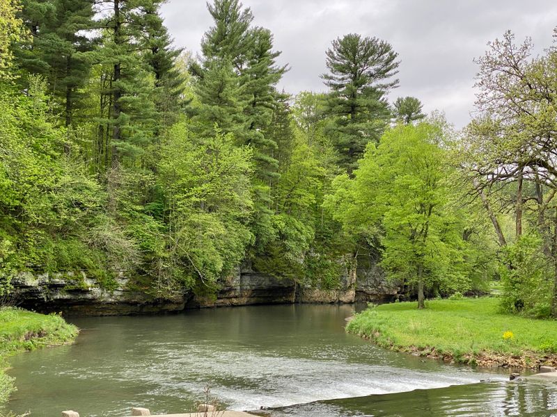 White Pines Forest State Park, Pine Stand That Feels Closer Than You'd Expect